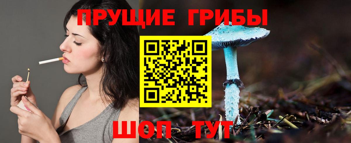 Пугачёв  Галлюциногенные грибы Magic Shrooms  Псилоцибиновые грибы GOLDEN TEACHER  Вход с VPN 