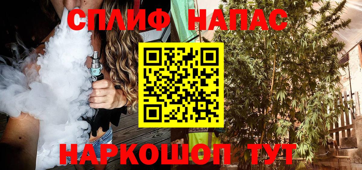 Конопля OG Kush Пугачёв